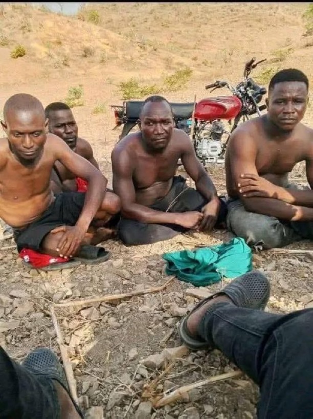 Nigeria Stories tweet media