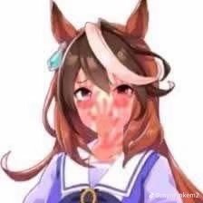 Tamamo Cross tweet media