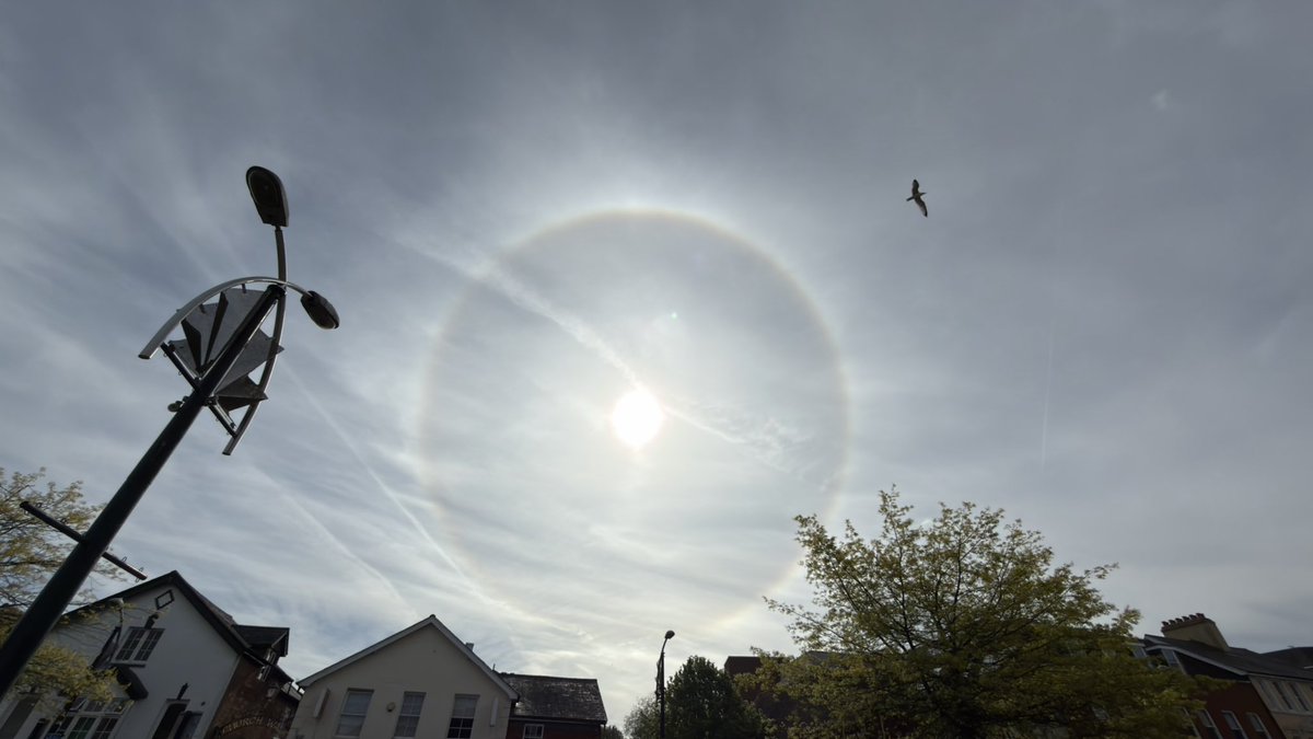 DJ Jordan tweet media