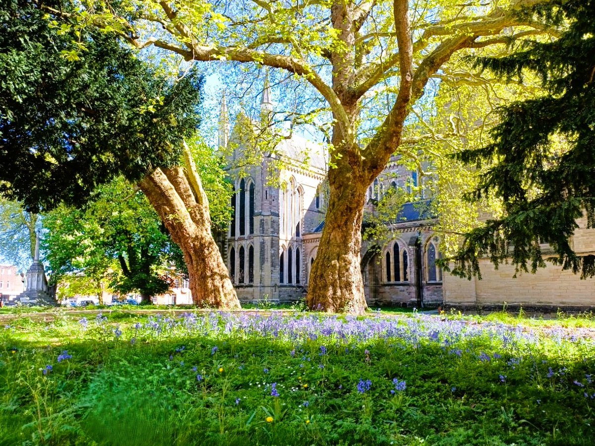 pac1610's tweet image. A beautiful #spring day in #Worcester! 💙🍃🪻🍃💙 @ThePhotoHour @StormHour @StormHourMark @VisitWorcs @WorcCathedral #RiverSevern #NaturePhotography