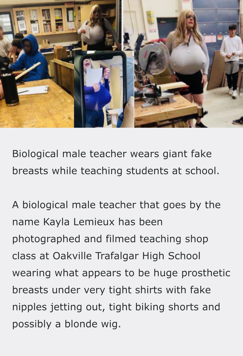 Benfica the Cat 🐈‍⬛🐾💕 tweet media