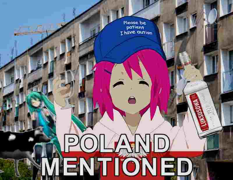 Miki Naz 🐔 tweet media