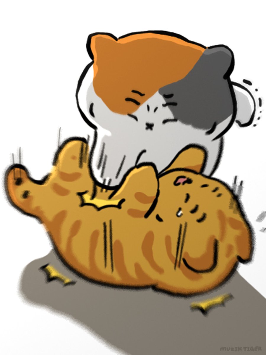 무직타이거 tweet media