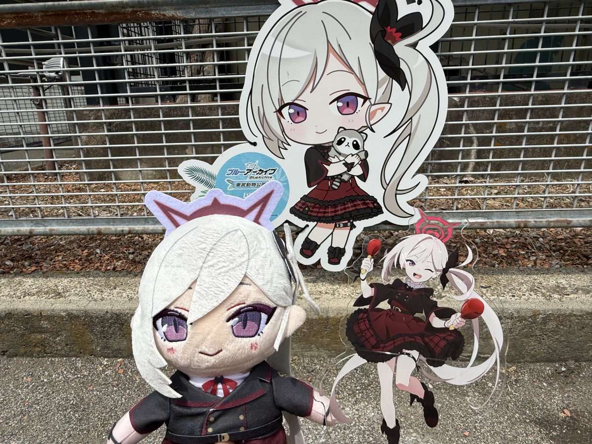 双葉DX🌻 tweet media