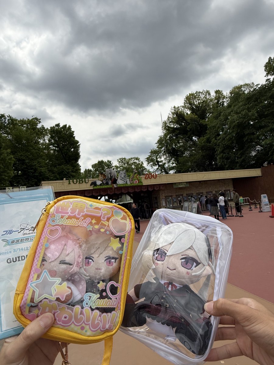 双葉DX🌻 tweet media