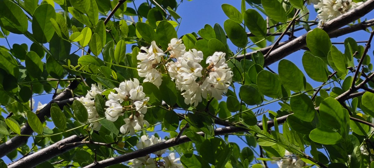 퐁퐁퐁 tweet media