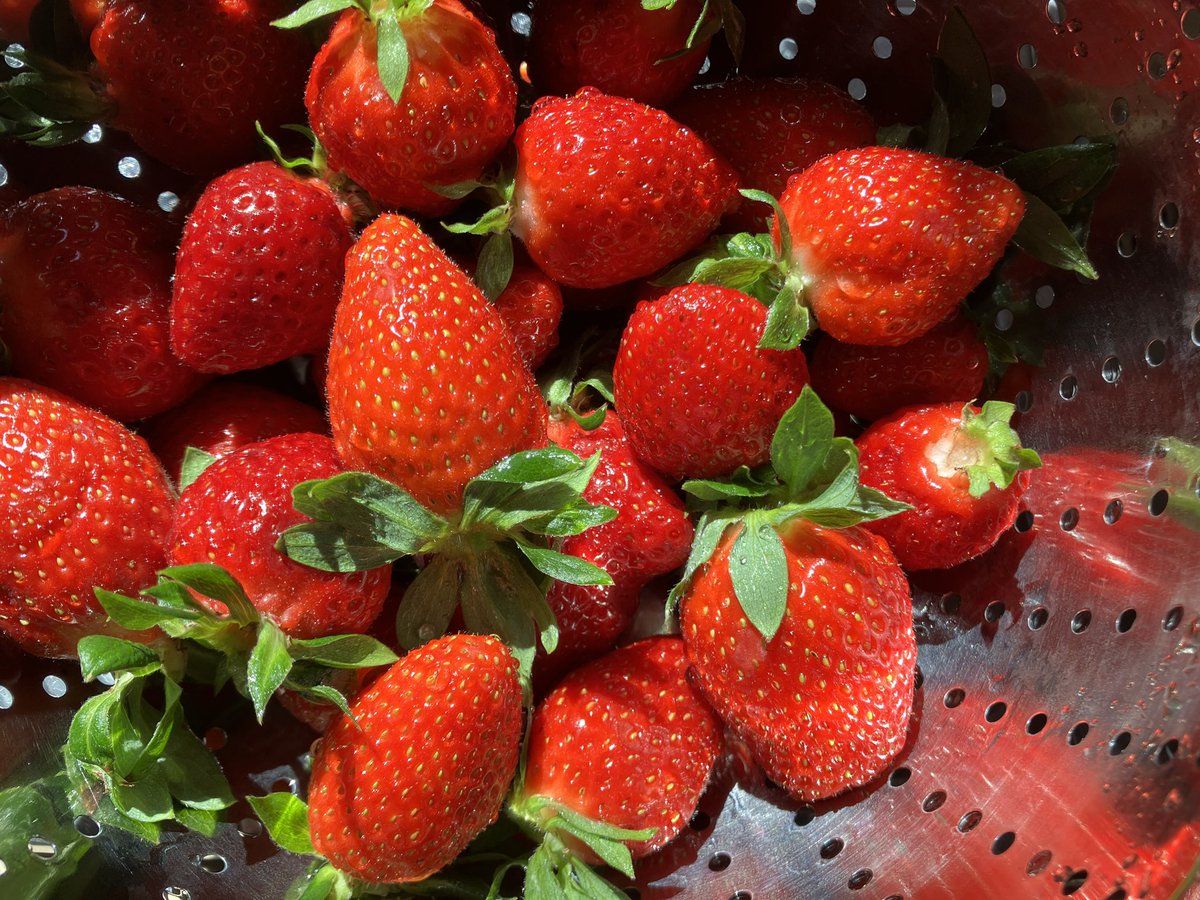 lennivagyigen's tweet image. Eperszez.on 😍 A furgonos epres csávó megint finomat hozott. Nyami. #nofilter