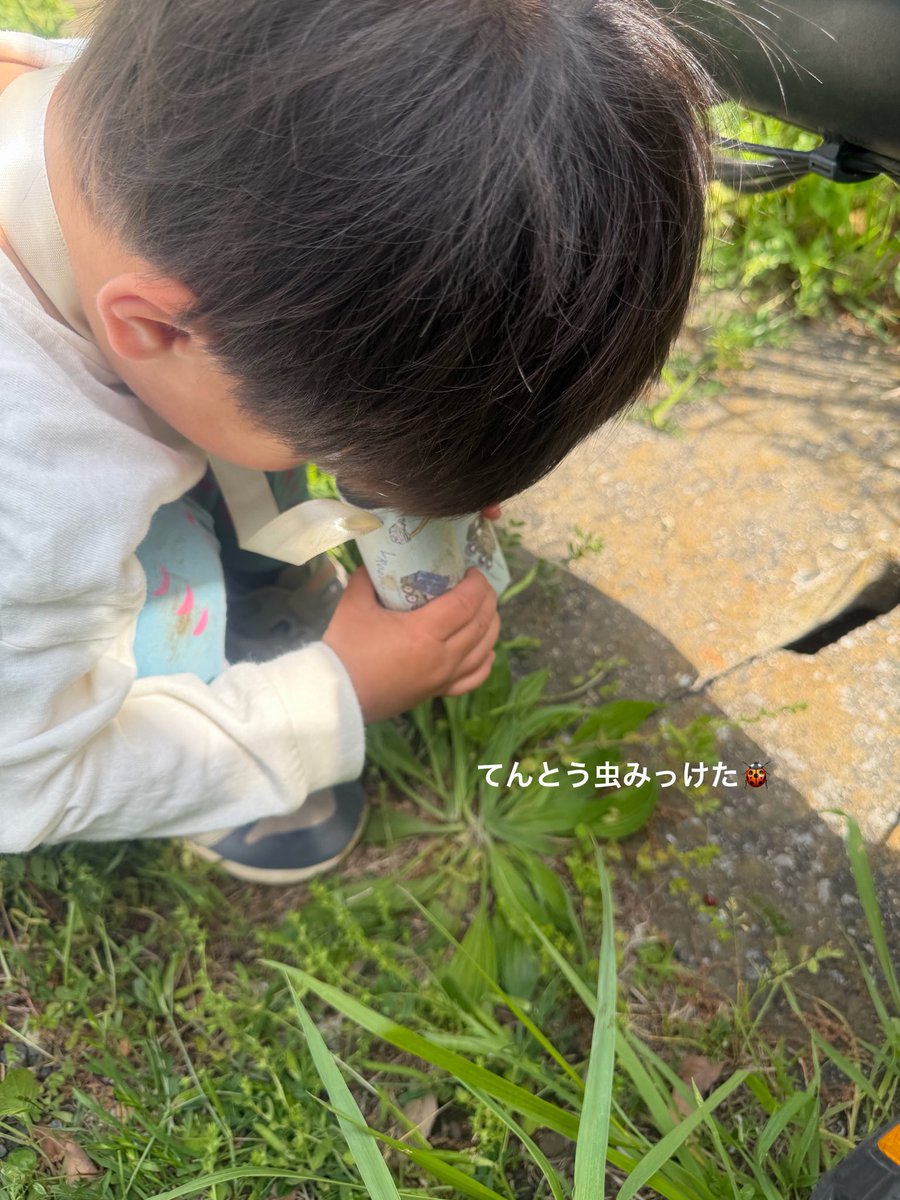 我が家の2歳児、これだけで外遊びの満足度が爆上がりしたんですけど‼️👦🏻💡

今朝トイレットペーパーの芯で双眼鏡を作って公園へ行ったら、今までただ歩いていた道も探検になって、まるで別の時間になった🧭👣ꕀ

“なに見つける？”が増えるだけでこんなに違うのすごい🔍