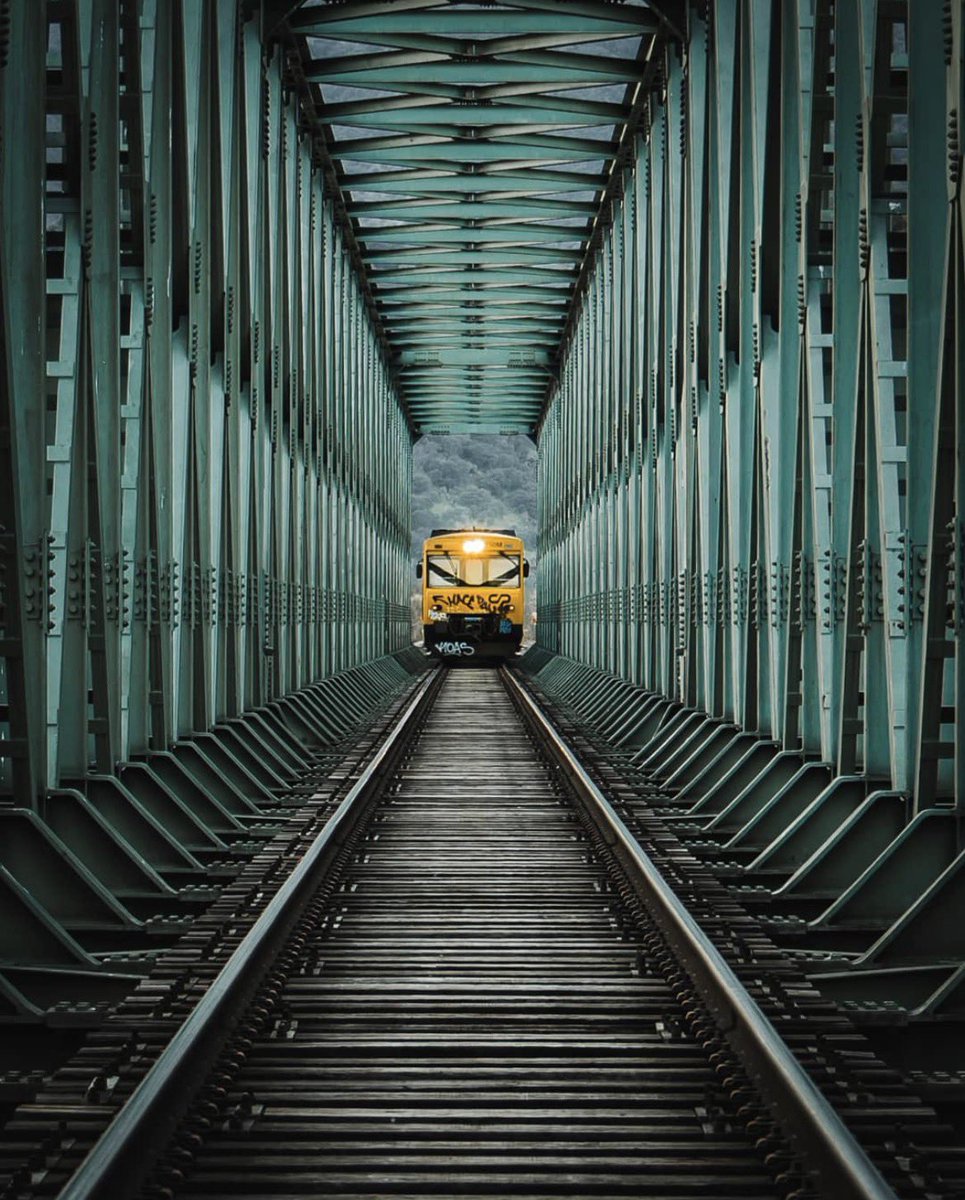 theglobalphotocommunity tweet media