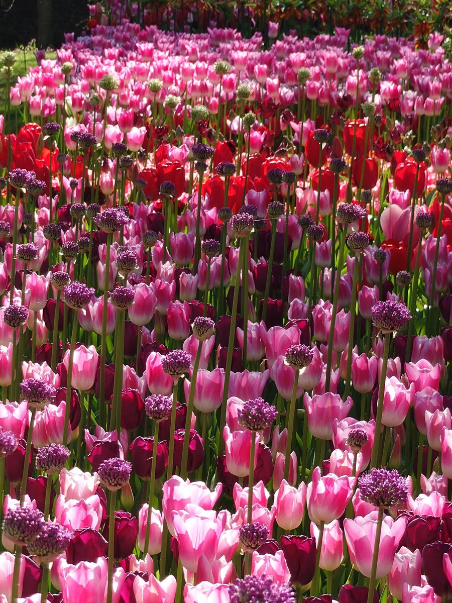 Misaka86 tweet media