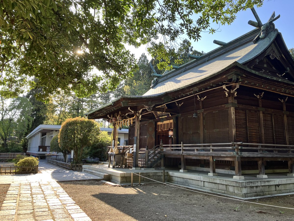 腸弱いアリ tweet media