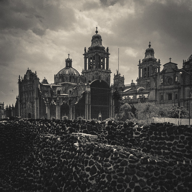 Based Taco 🌮 tweet media