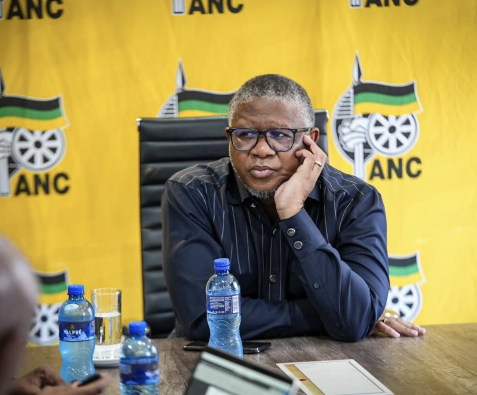 Fikile Mbalula will not be the president of South Africa, Maybe the president of ANC. Definitely not the president of the country