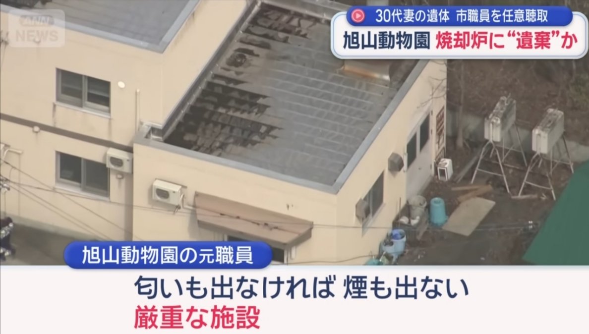 あーぁ tweet media