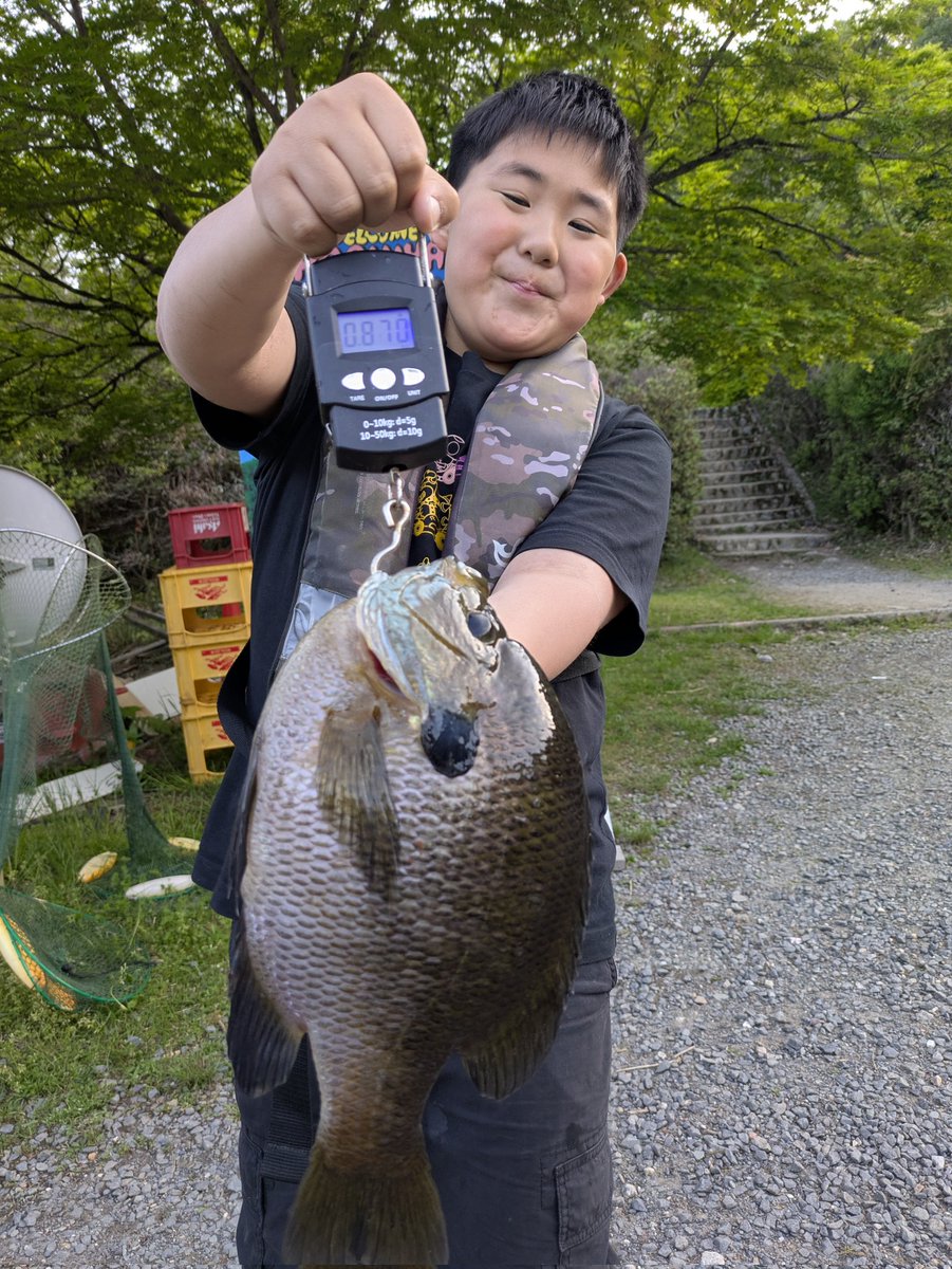 嵐山フィッシングエリア tweet media