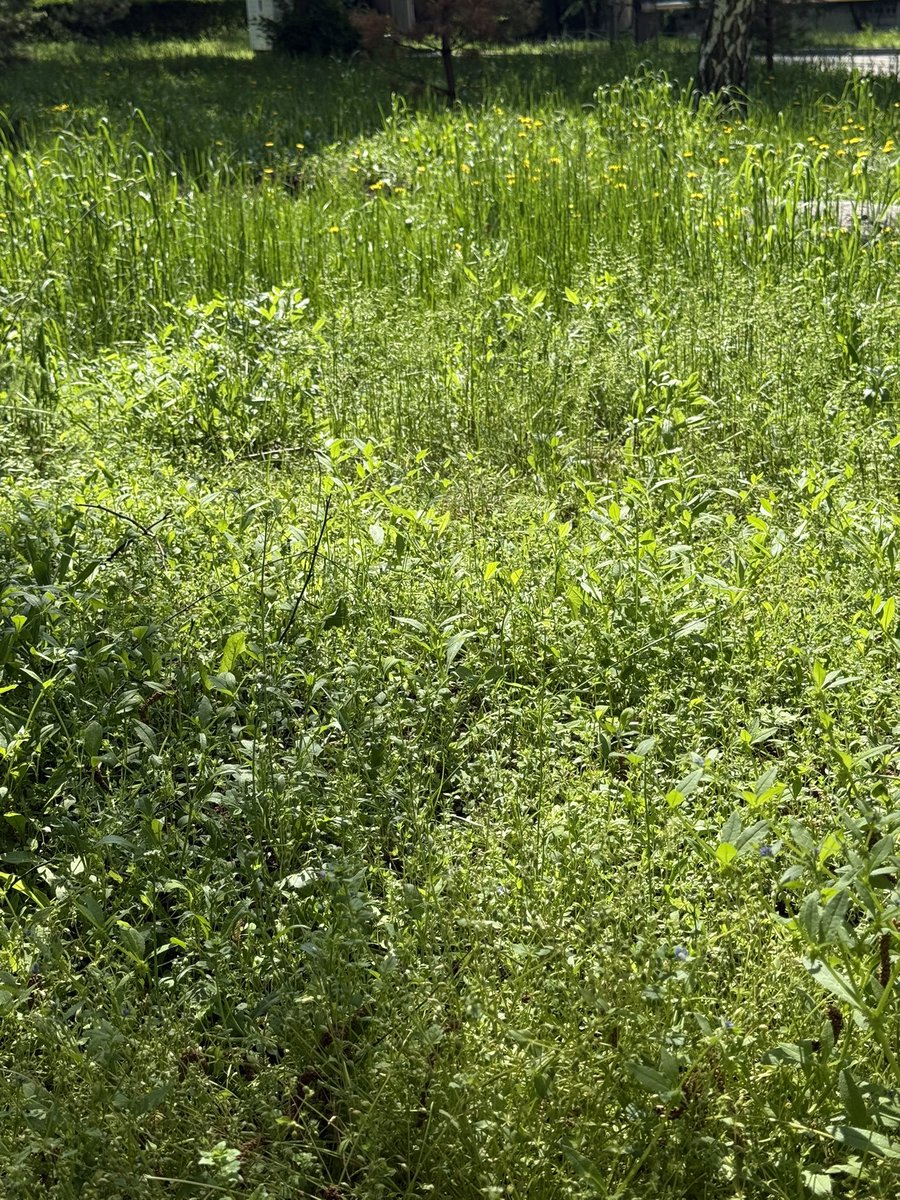 чтоб не стала небылью быль tweet media