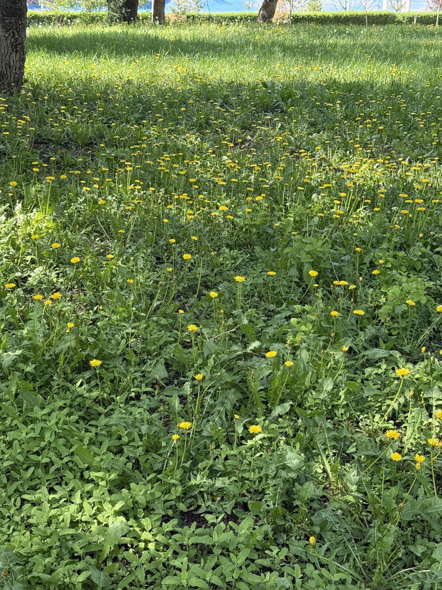 чтоб не стала небылью быль tweet media