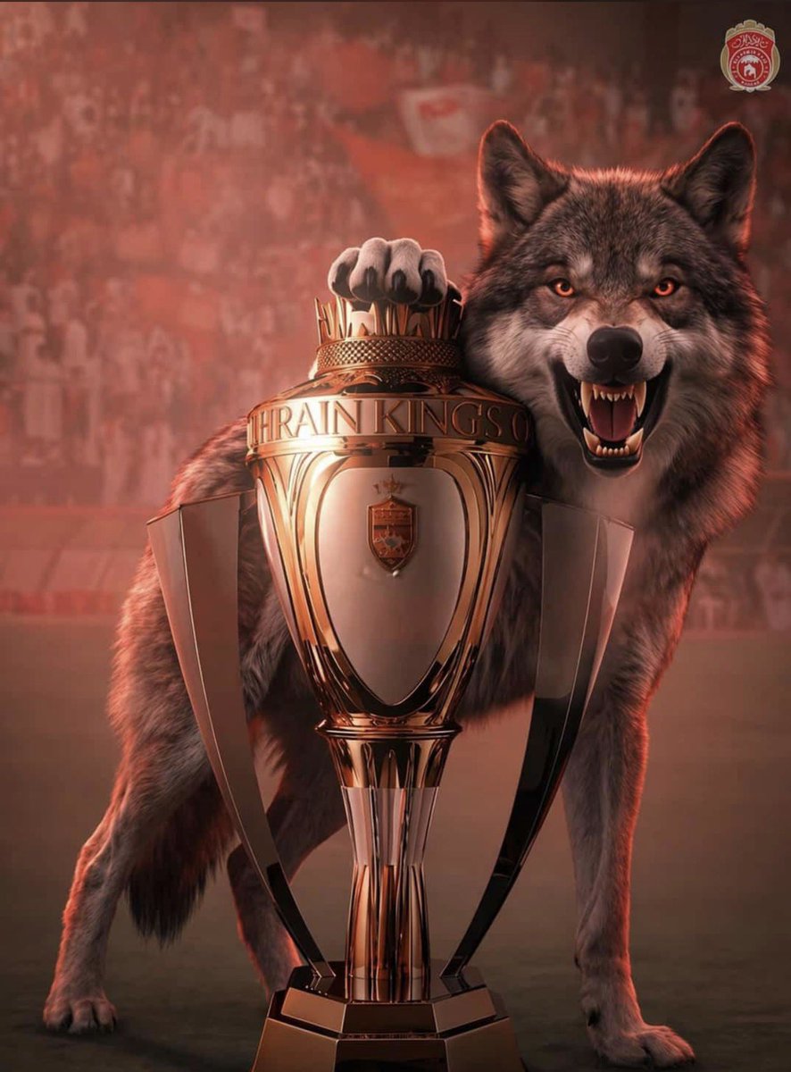 aldasmal's tweet photo. ألف مبرووووووك لأبطال وعشاق النا��ي الكبير #نادي_المحرق العز والفخر فوزه بكأس جلالة الملك المع��م فالكم الدوري يا أبطال ❤️❤️❤️❤️❤️❤️ https://t.co/fNIuAzNXnl