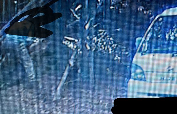 ちなみに結構見られてますよ☺️
この人は2回目撃されてる

仲間や知り合いがよく通る道だから知らない車あるとみんな写真くれる♪

農家かなぁ職人かなぁ
農家だったら面白いな…