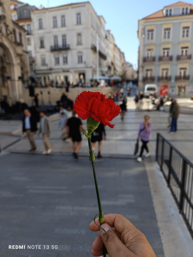 Xabier Fortes tweet media