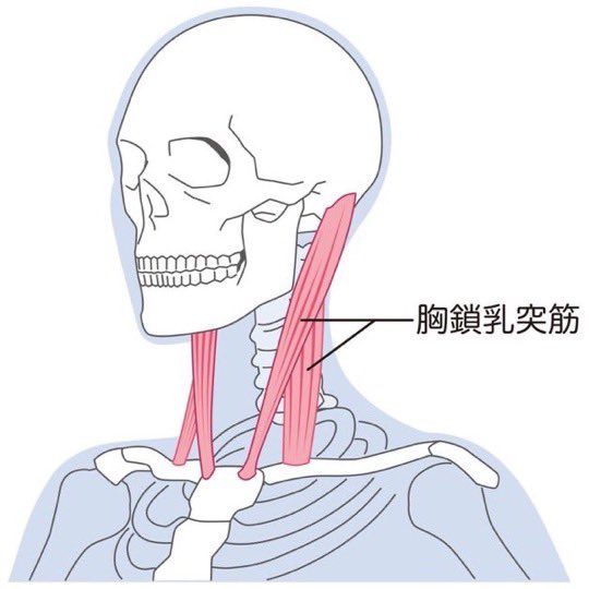 うさぎ🐰 tweet media