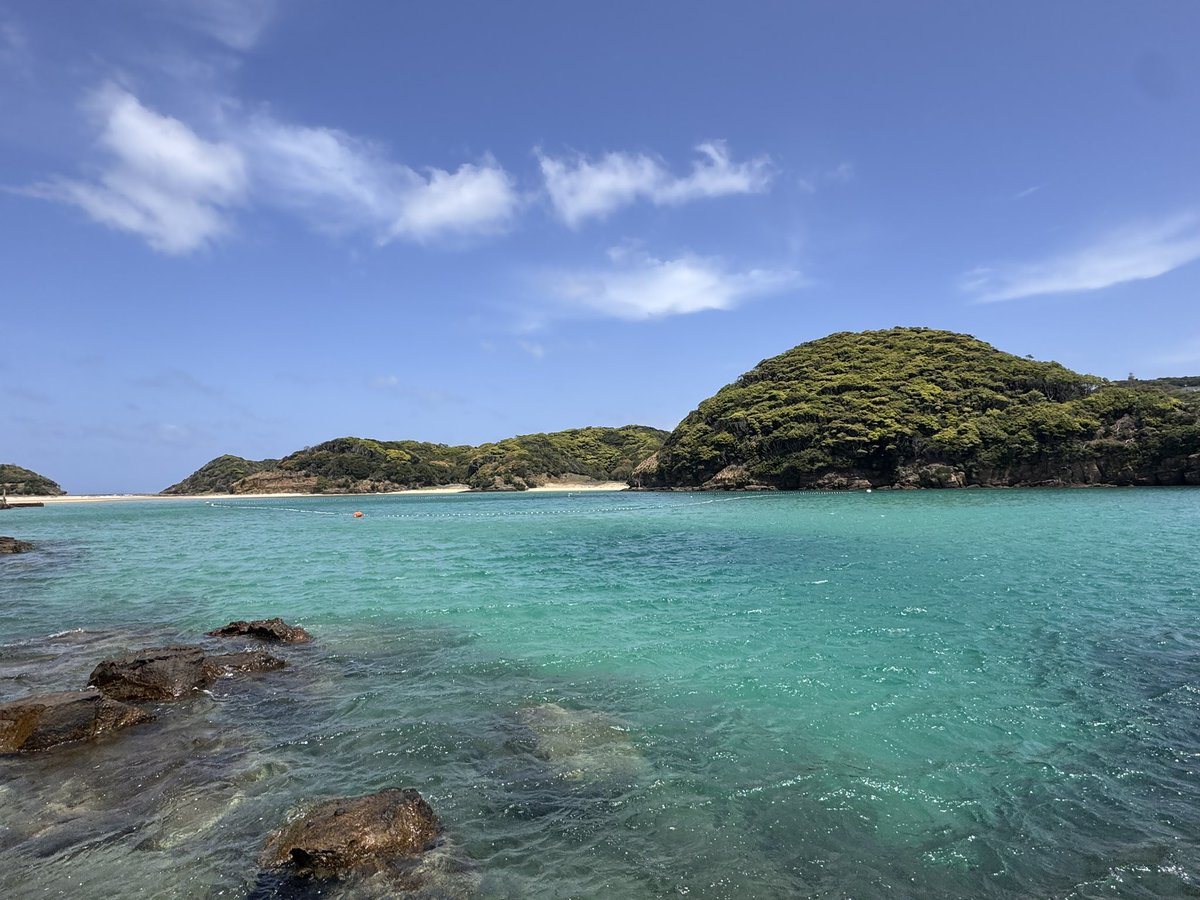 まる【2児の母　陸マイラー】 tweet media