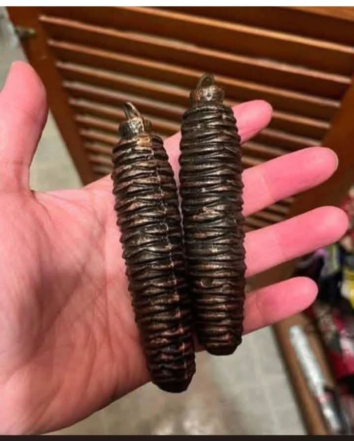 Kristina Bolten tweet media