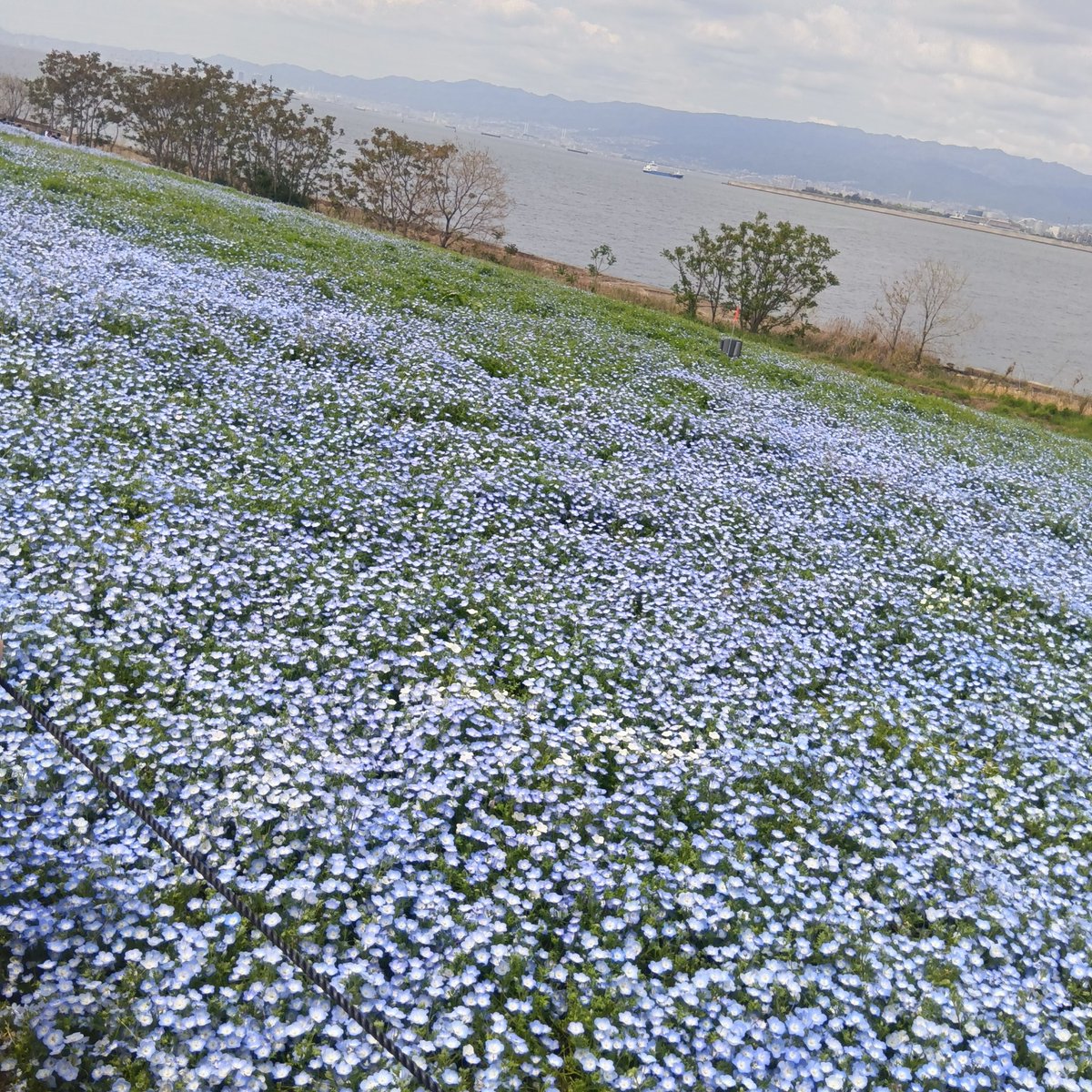 フルモンティー武田🍎 tweet media