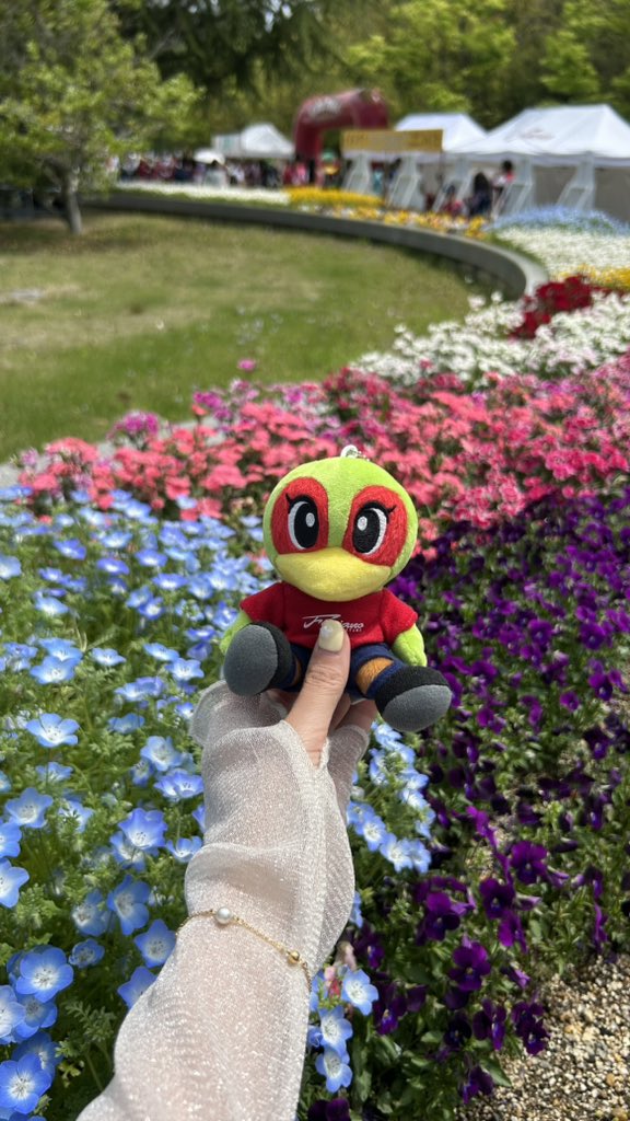 𝙮𝙪𝙠𝙞 🕊 tweet media