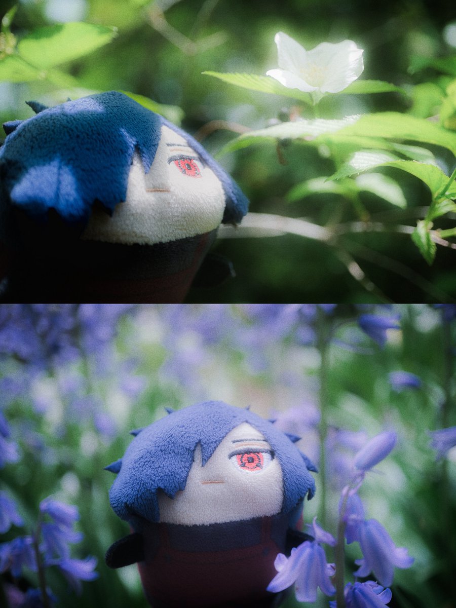 あくた 📷 tweet media