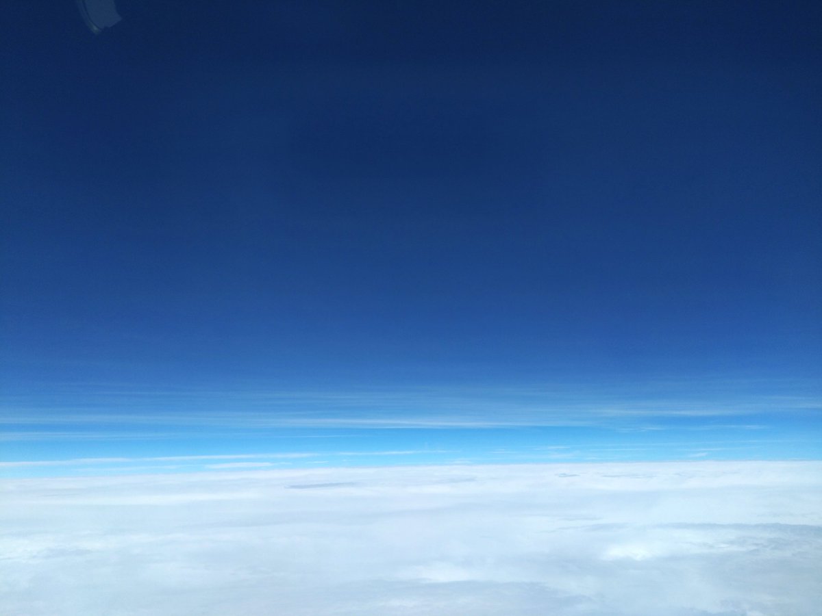 タカーキ✈ tweet media