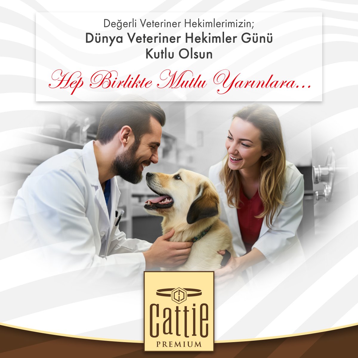 Cattie_tr's tweet photo. Sevgi, merhamet, şefkat ve fedakarlıklarla görevini yapan değerli Veteriner Hekimlerimizin, #DünyaVeterinerHekimlerGünü Kutlu Olsun.

Happy #WorldVeterinaryDay to our esteemed veterinarians, who fulfill their duties with love, compassion, kindness, and sacrifice. https://t.co/mExHdsm16B