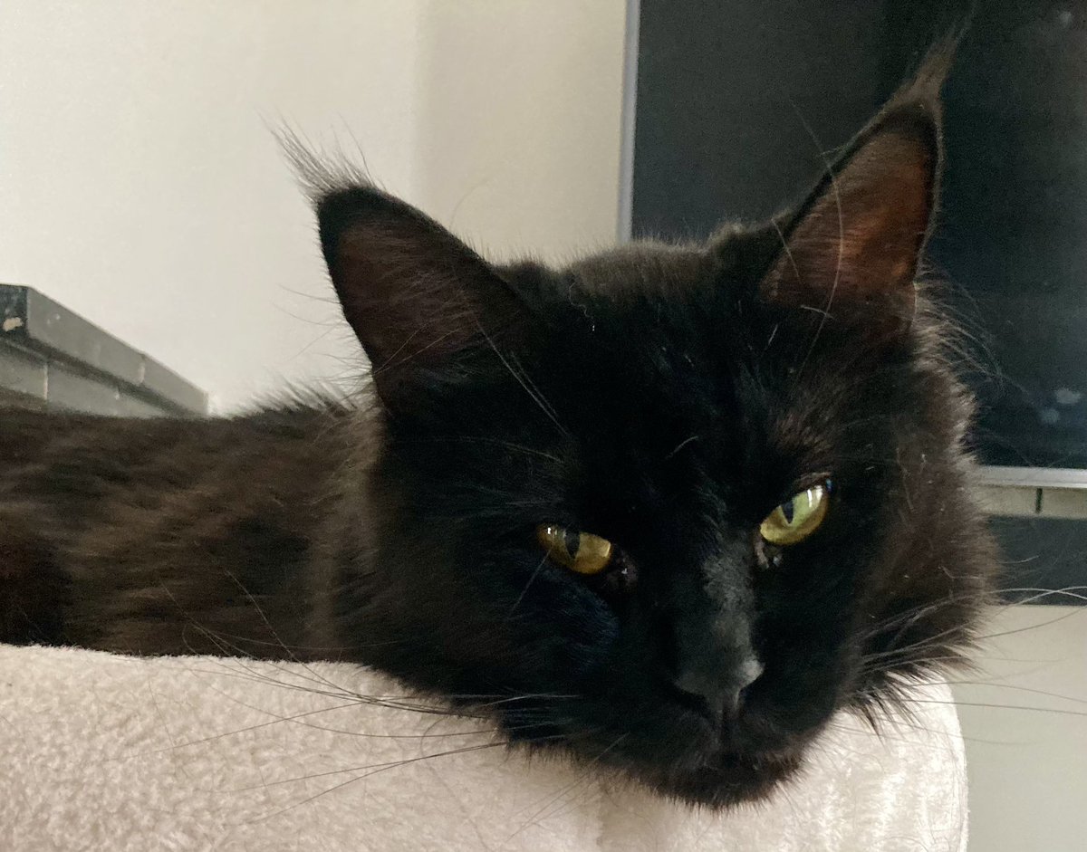 Petra Blankwaard tweet media