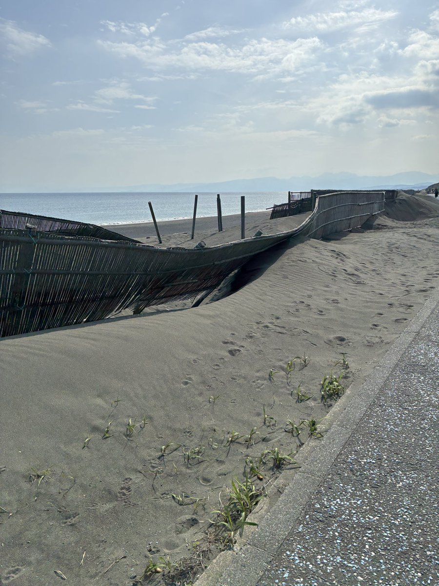 うんこ爆撃 tweet media