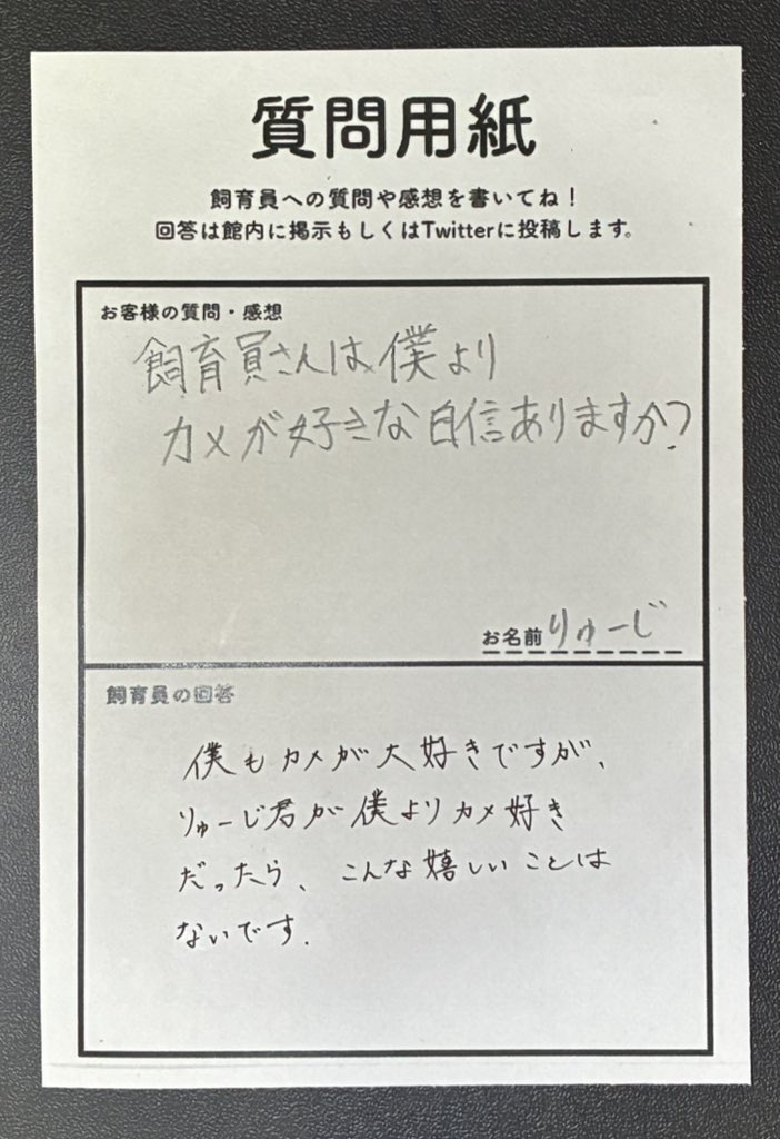 道の駅ウミガメ公園【公式】 tweet media