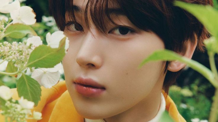 ૮₍ cel ^᪲ ₎ა tweet media