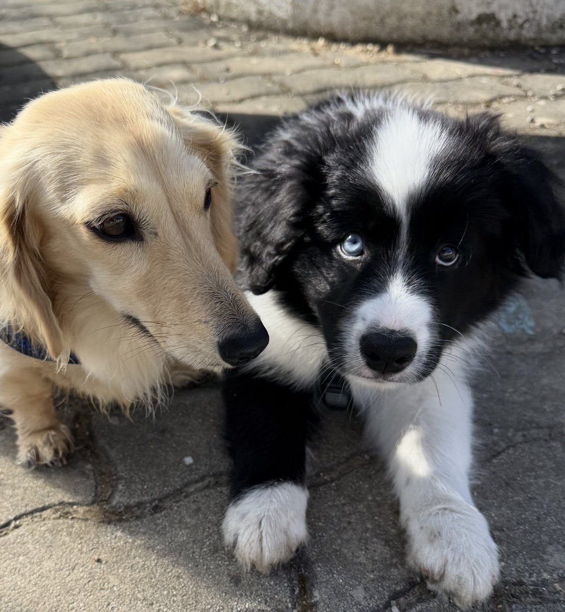Jette (Ministerin für Fressangelegenheiten) tweet media