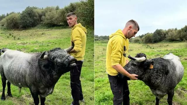 AmaregarDefensoraAnimalista, EcoFeminista tweet media