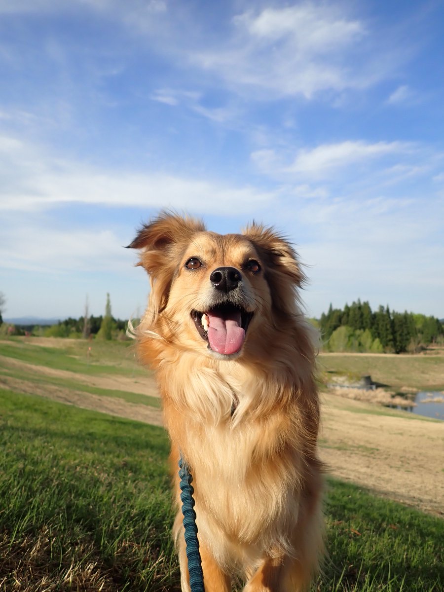 もなかとキャラメル tweet media