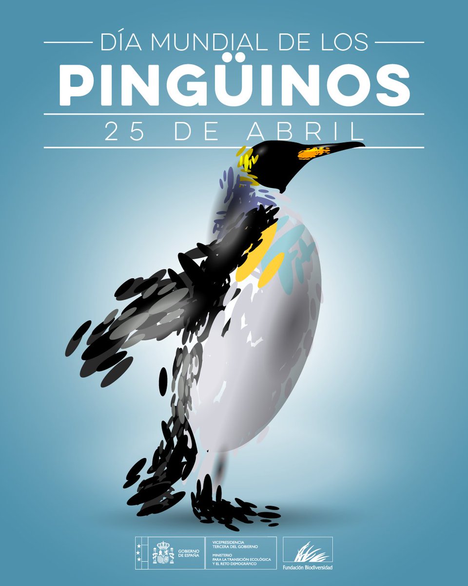 Los pingüinos son piezas clave en el equilibrio del océano 🐧

Actúan como indicadores del estado de los ecosistemas marinos y ayudan a mantener la cadena trófica.

Su conservación protege mucho más que una especie, sostiene la salud de todo su entorno.

#DíaMundialDeLosPingüinos