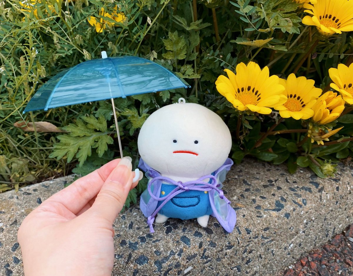 みじめちゃんのいる生活 tweet media