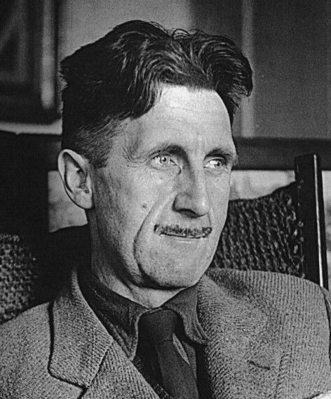 Estado Mínimo 🗽 tweet media