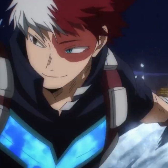 pro hero shoto fan tweet media