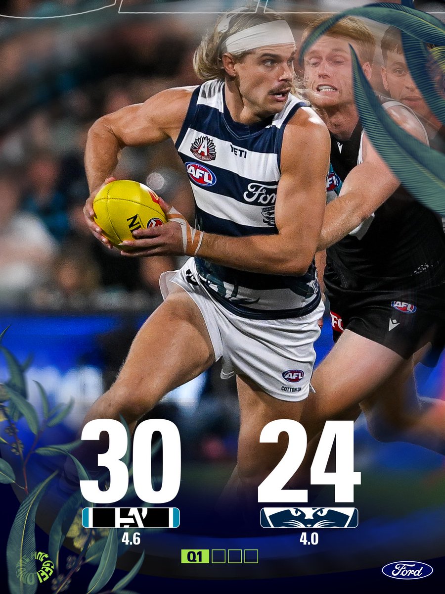 Geelong Cats tweet media