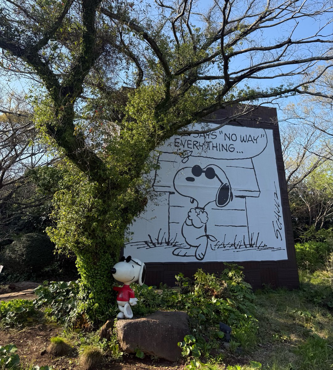 メイ tweet media