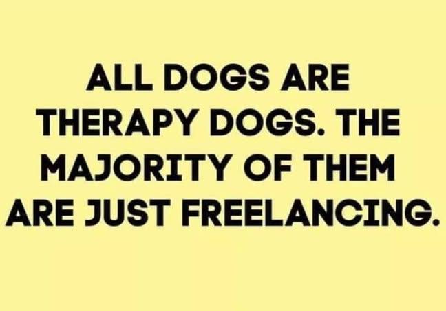 🍀Louie Kerr 🇮🇪💚 tweet media