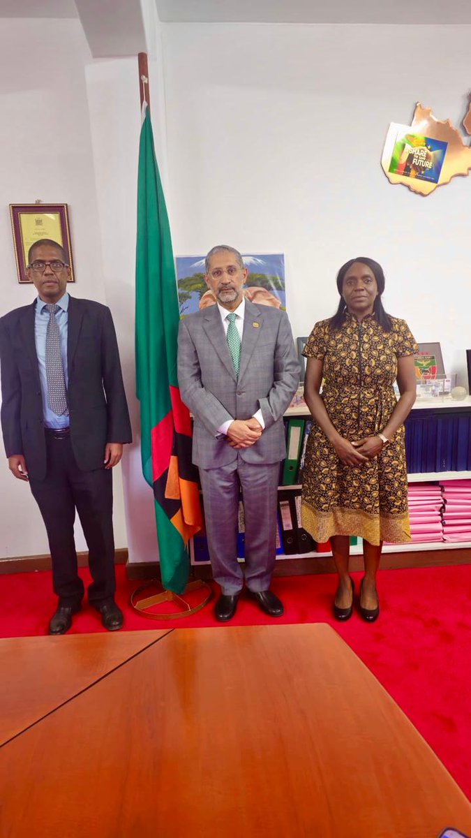 BADEA Arab Bank for Economic Development in Africa tweet media