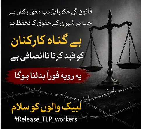 میرب ✨🕊️ tweet media