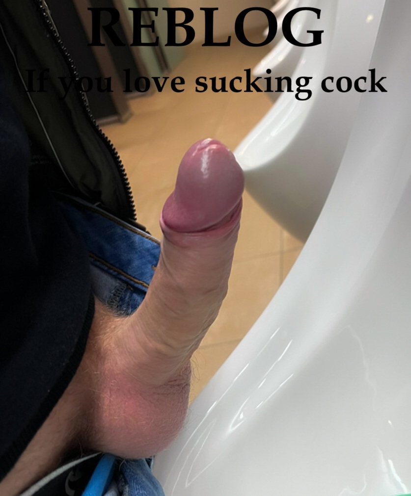 The Gay Guide🍆 tweet media