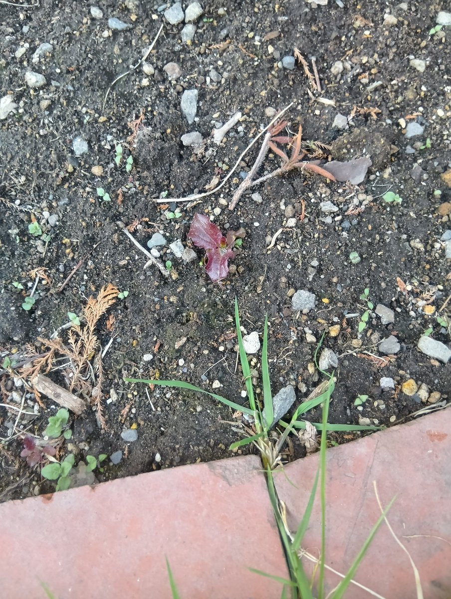 冷水＠Toxic Smoker since2000 tweet media